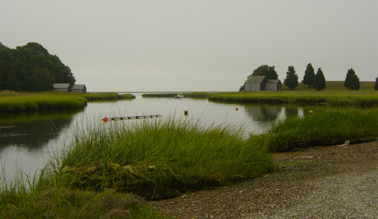 cape cod pond