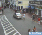 Cape Cod Web Cams