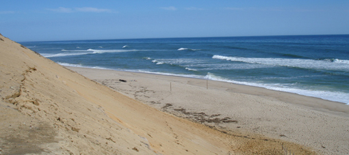 cahoon hollow cape cod