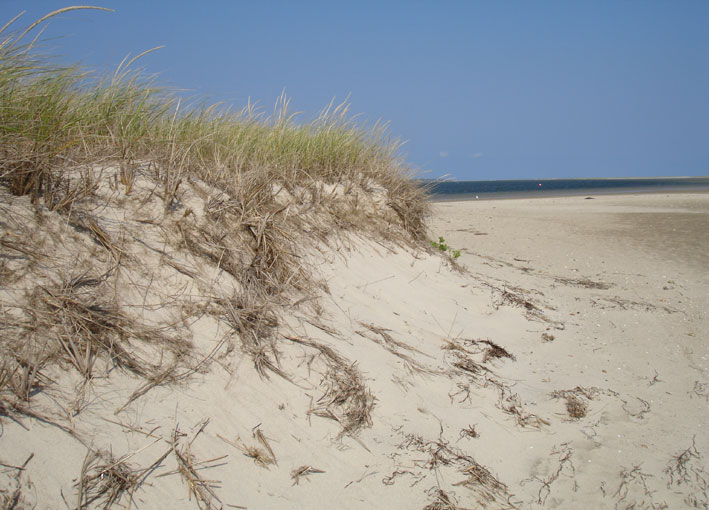 Cape Cod National Seashore